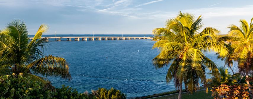 The Florida Keys